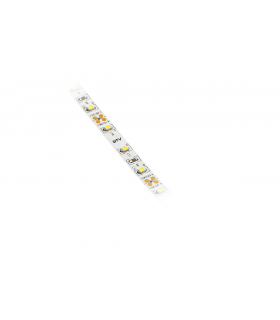 tasma-flash-3528-300-led-zimny-bialy-24w-5m-bez-zelu-8mm-12v