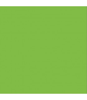6610-aquaakryl-zielony