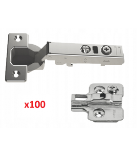zawias-nakladany-31104000-100x-prowadnik-z-mimosrodem-31170610-100x