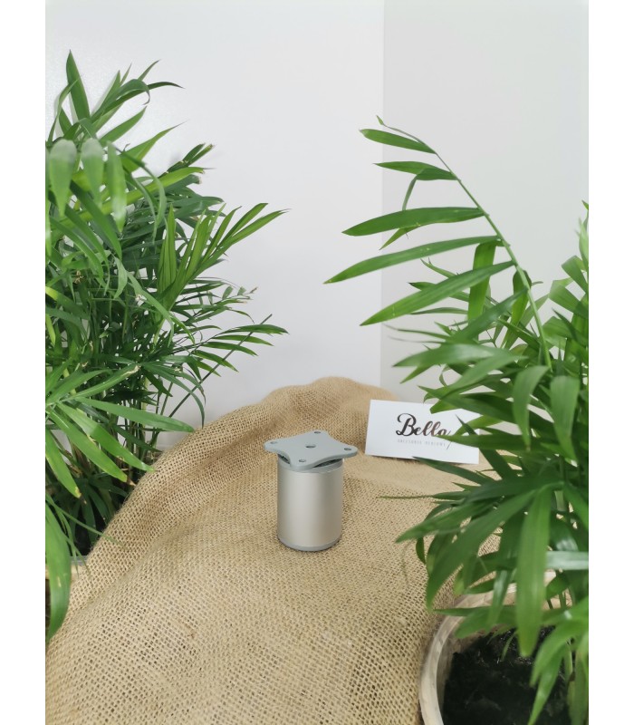 Nóżka Dap77 H-60mm fi40mm ALUMINIUM