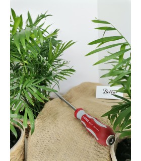 narzedzie-przedluzajace-axilo-78