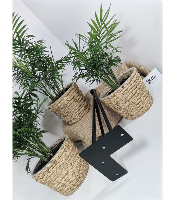 Noga meblowa ARTO ze stopką, 10x406mm, czarna, 3 pręty