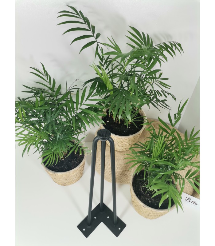 Noga meblowa ARTO ze stopką, 10x711mm, czarna, 3 pręty