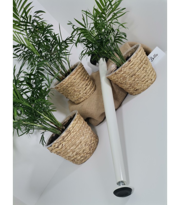 Noga meblowa 40x710mm biała X-LINE skośna, stopka regulacyjna