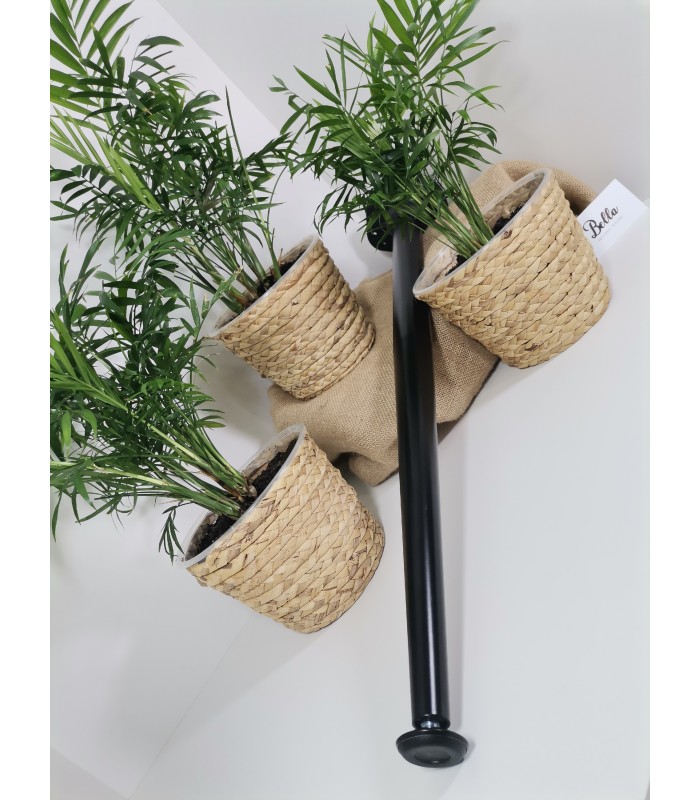 Noga meblowa 40x710mm czarna X-LINE skośna, stopka regulacyjna