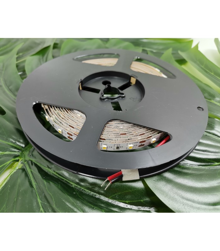 Flash 3528, 300 LED 24W zimny biały, bez żelu 8mm, rolka 5m, 12V