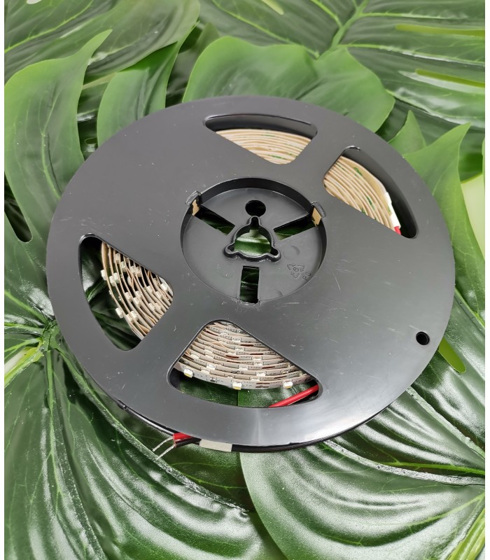 Flash 3528, 300 LED 24W zimny biały, bez żelu 8mm, rolka 5m, 12V