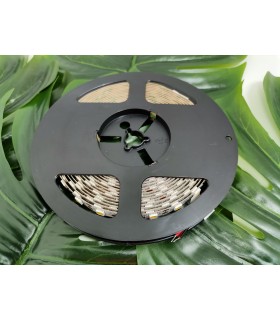 tasma-flash-5050-300-led-zimny-bialy-72-w-bez-zelu-10mm-rolka-5m-12v