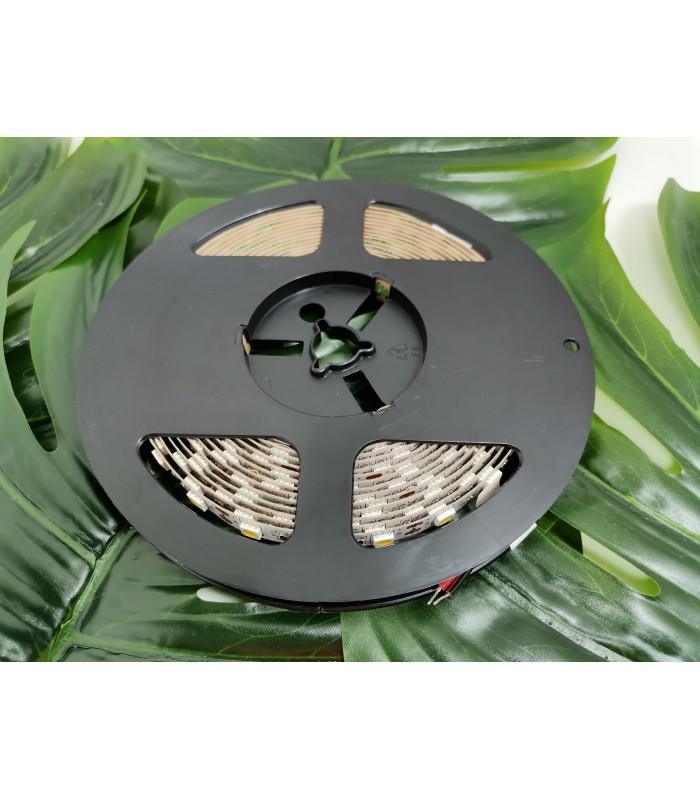 Flash 5050, 300 LED 72W zimny biały, bez żelu 10mm, rolka 5m, 12V