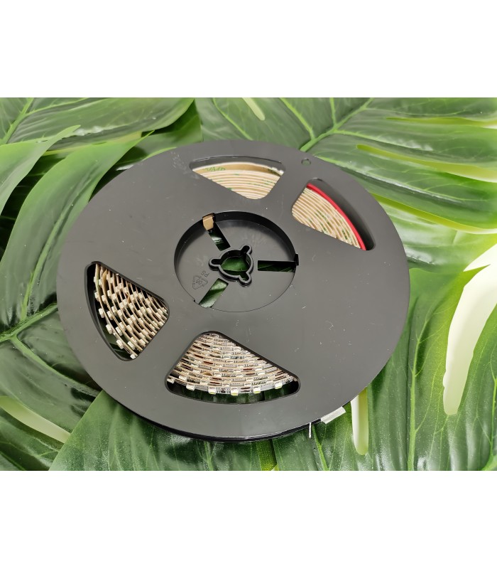 Flash 3528, 600 LED 48W zimny biały, bez żelu 8mm, rolka 5m, 12V