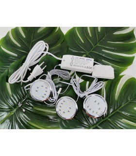 zestaw-led-lugo-319-3x1-8w-satyna-3000k